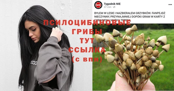 каннабис Заволжск