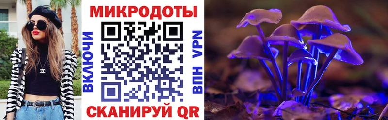kraken зеркало Давлеканово Галлюциногенные грибы ЛСД